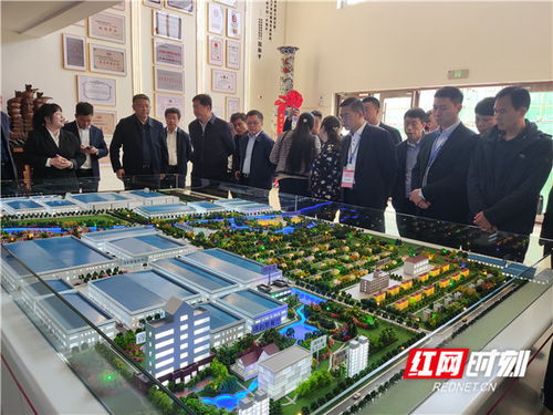 湖南在第二十届中国国际肉类工业展览会推介招商，拓展国际贸易新机遇
